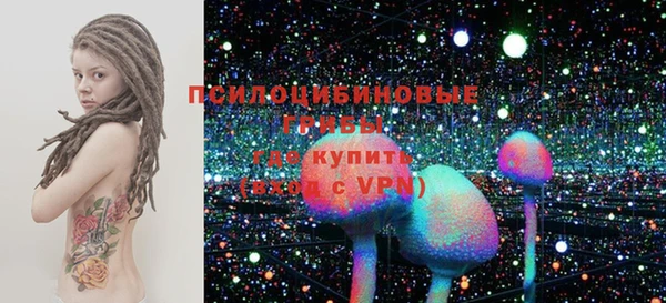 винт Абаза
