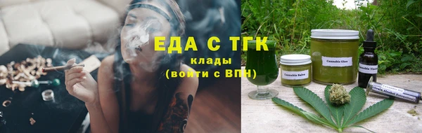 индика Новодвинск