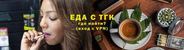 индика Новодвинск
